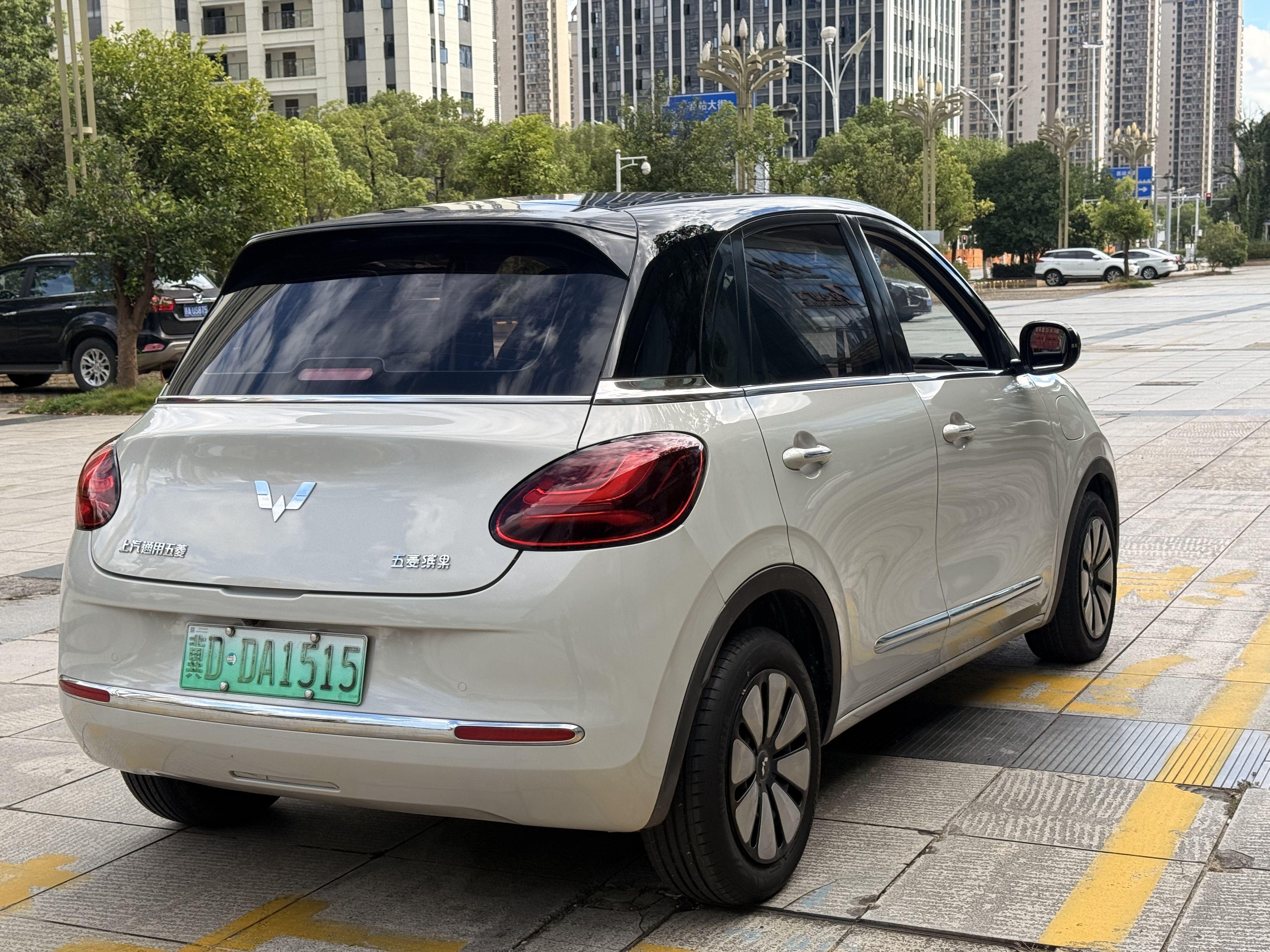 Wuling Bin Guo 2023 thumb 4