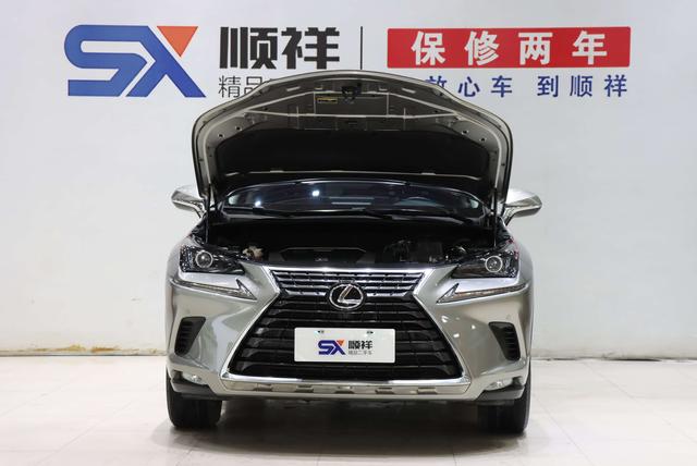 Lexus NX 2020 thumb 8