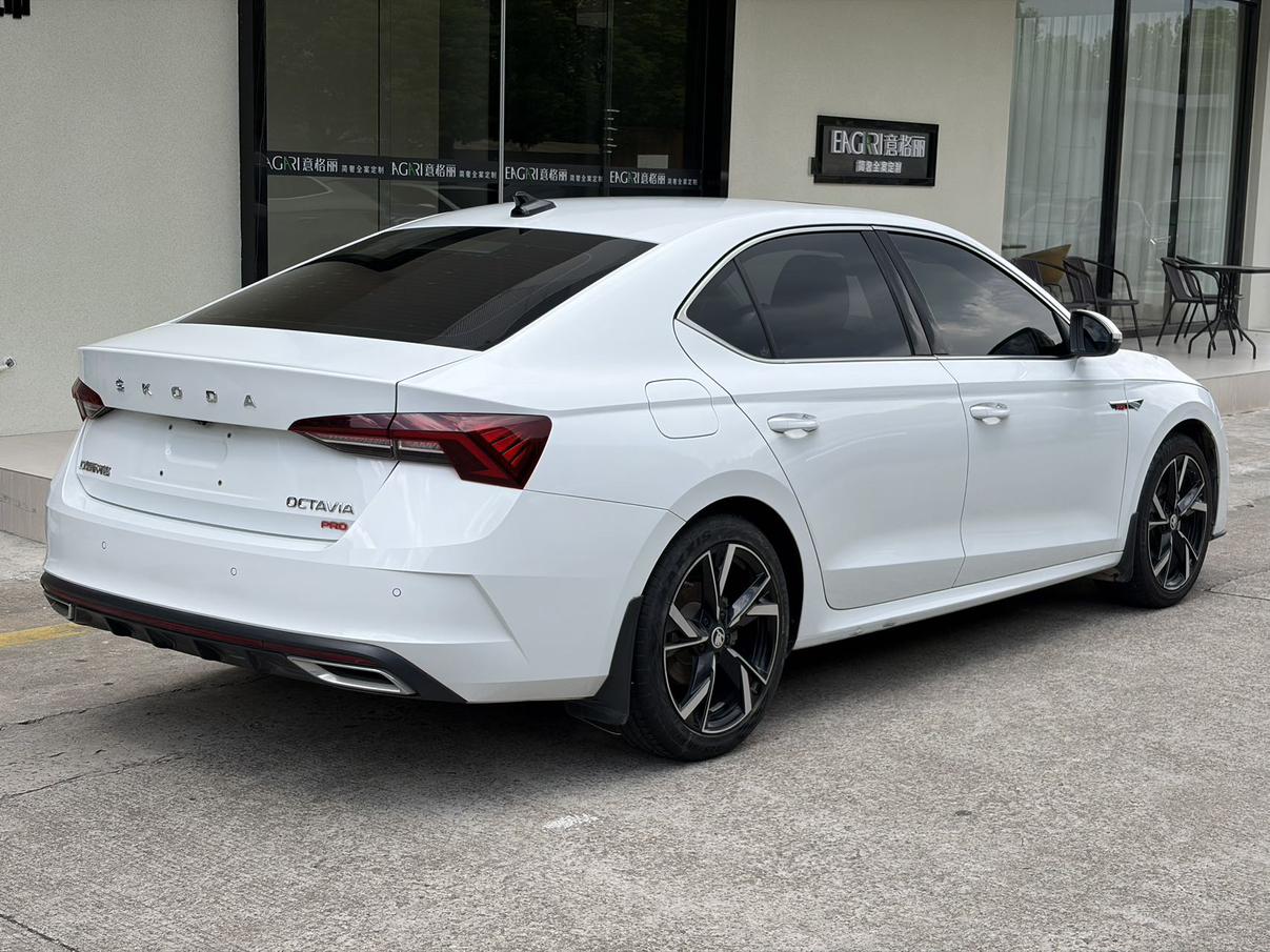 Skoda Ming Rui 2023 thumb 3