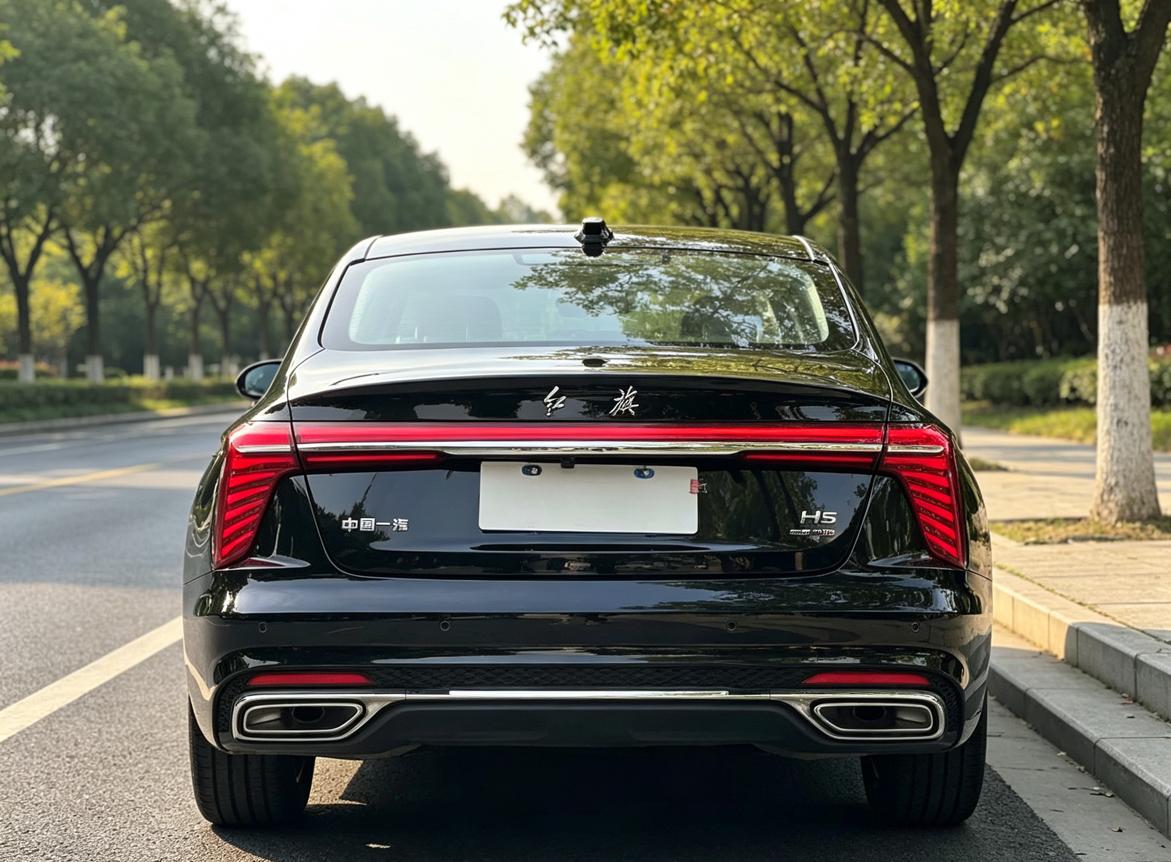 Hongqi H5 2023 thumb 2