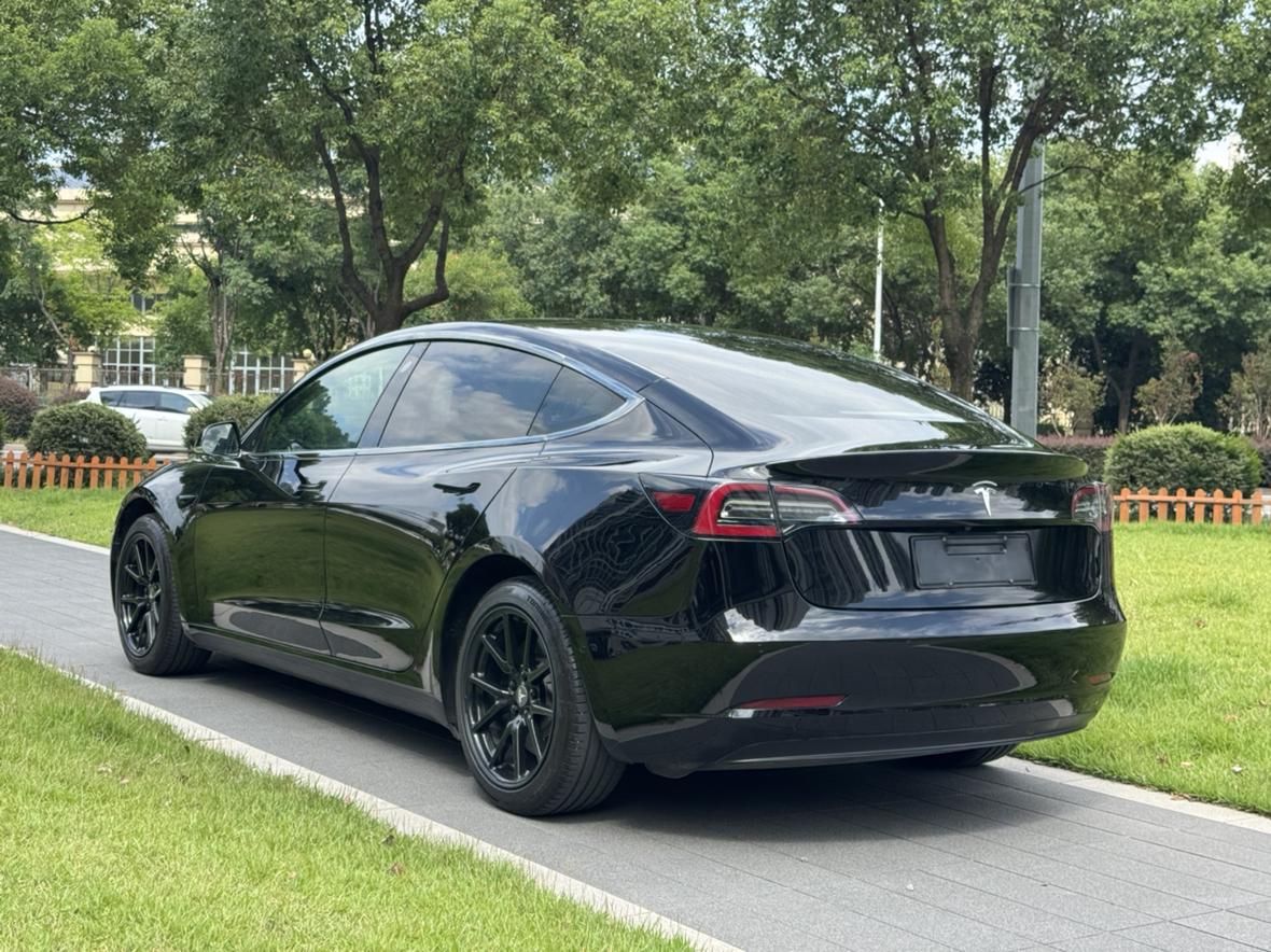Tesla Model 3 2020 thumb 2