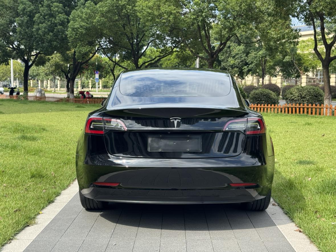 Tesla Model 3 2020 thumb 3