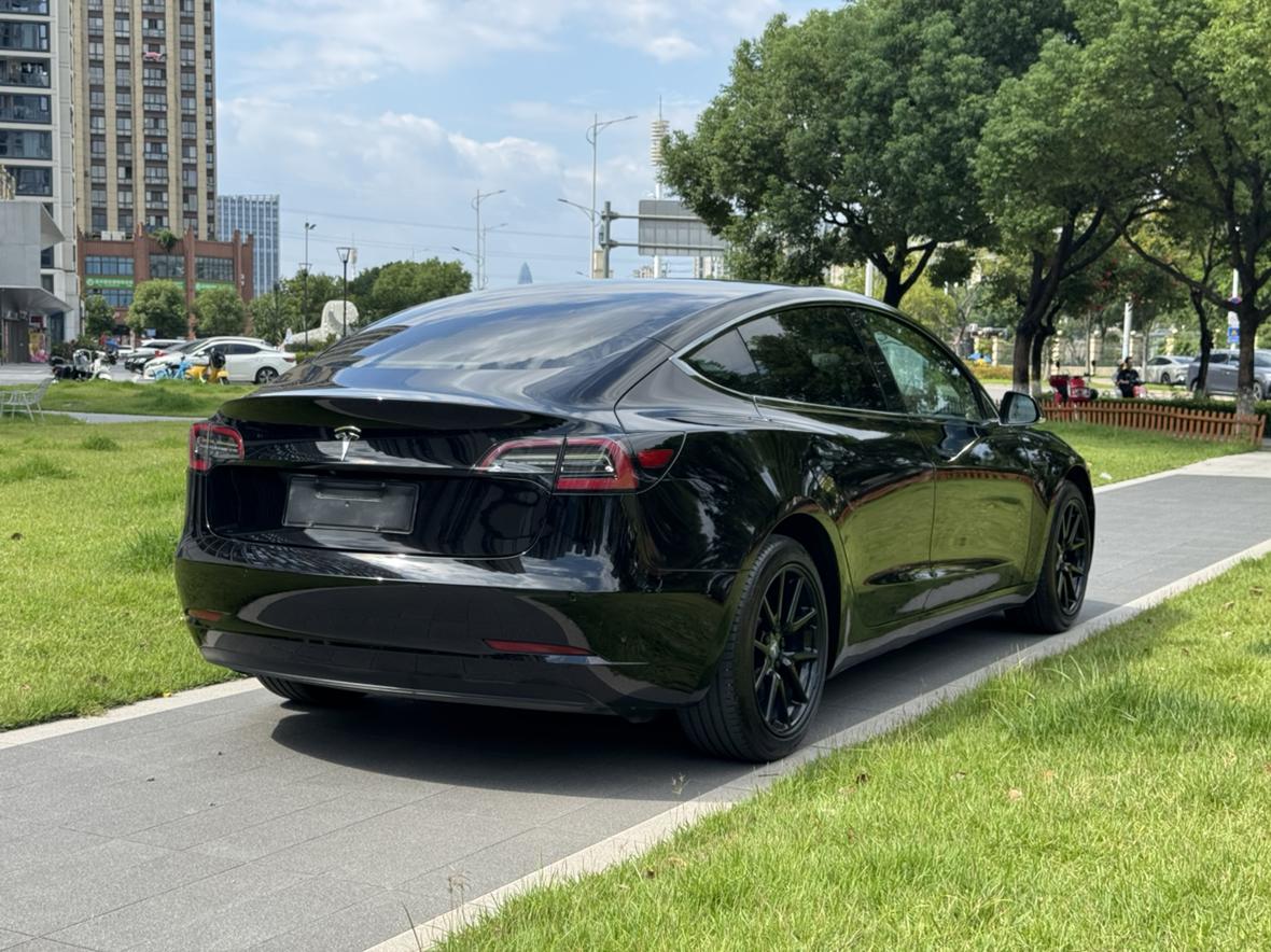 Tesla Model 3 2020 thumb 4