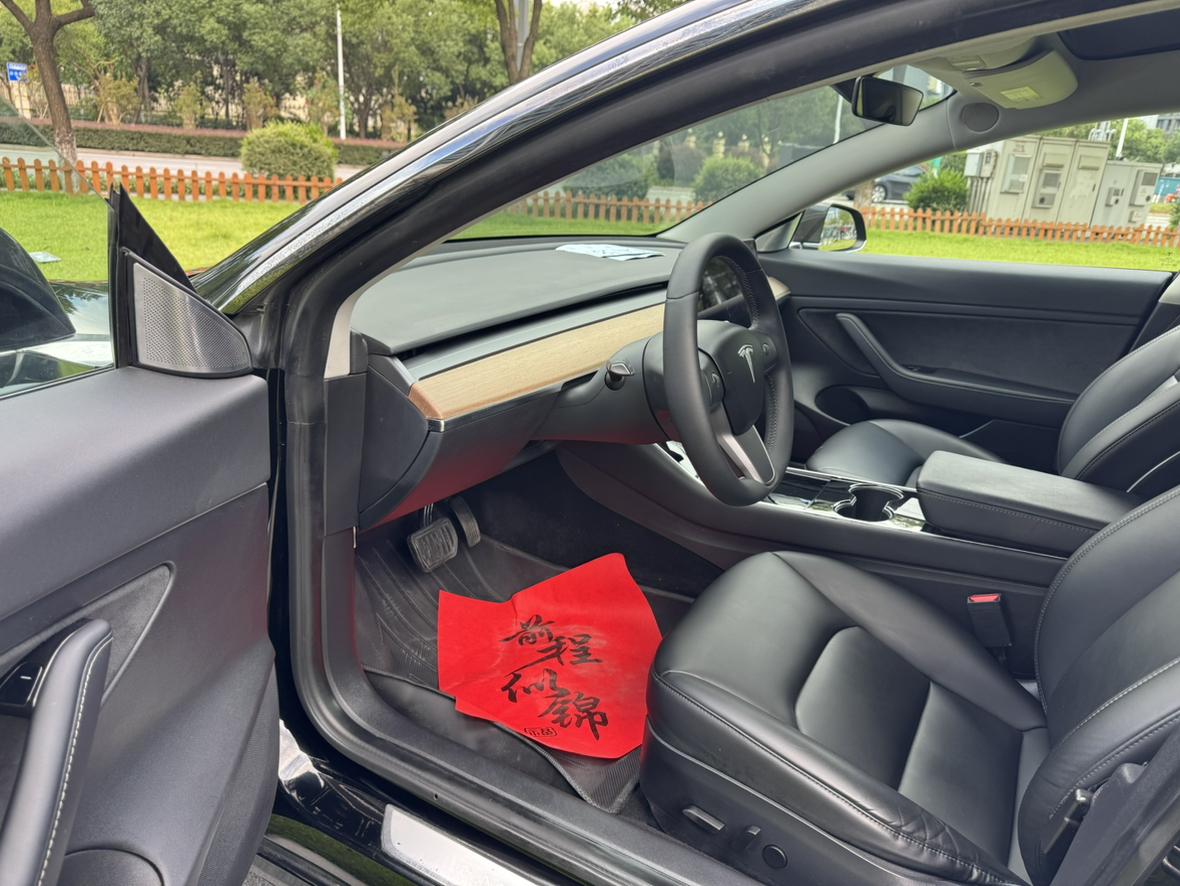Tesla Model 3 2020 thumb 10