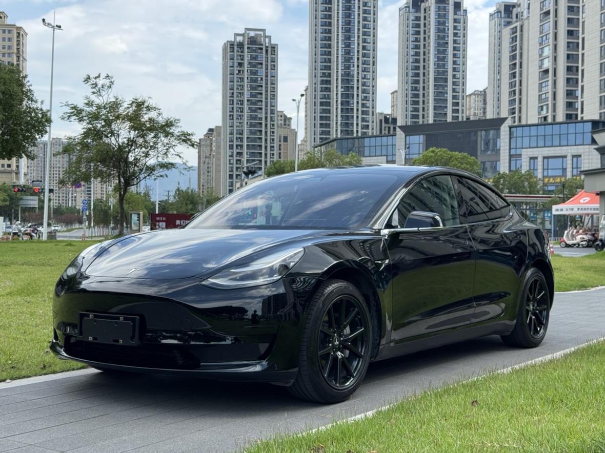 Tesla Model 3 2020 thumb 11