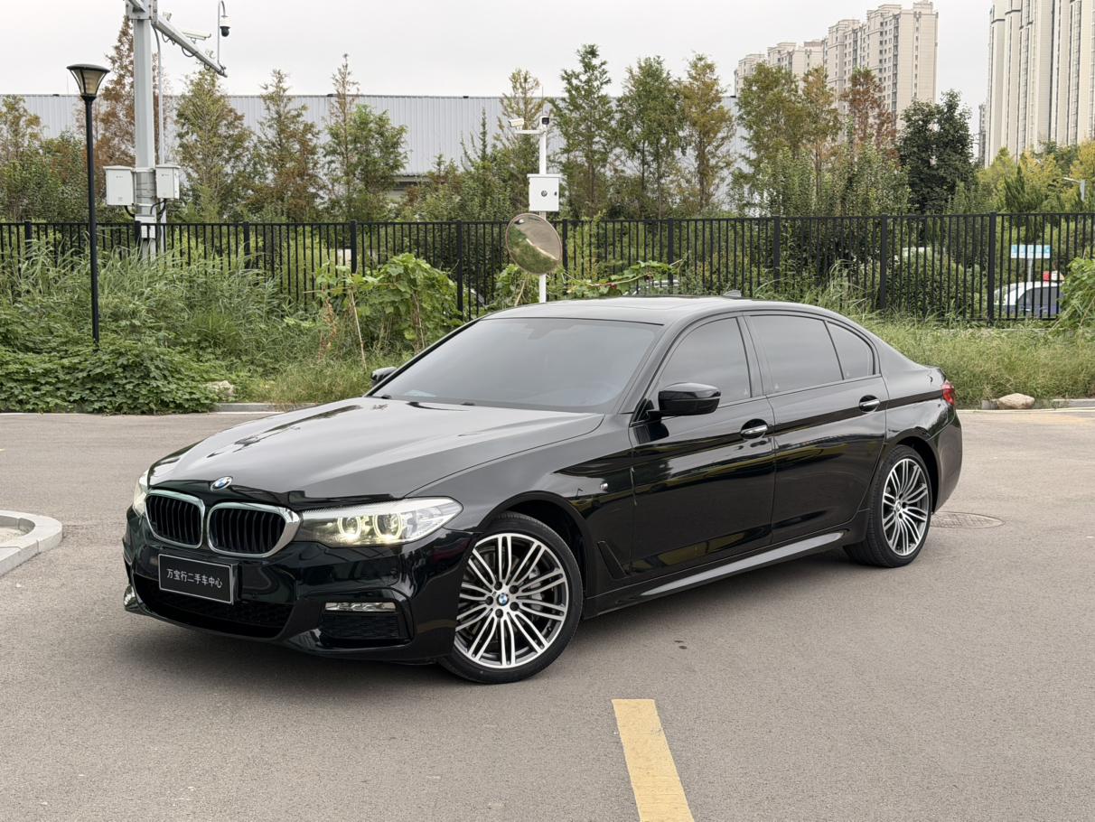 BMW 5 серии 2018 thumb 6