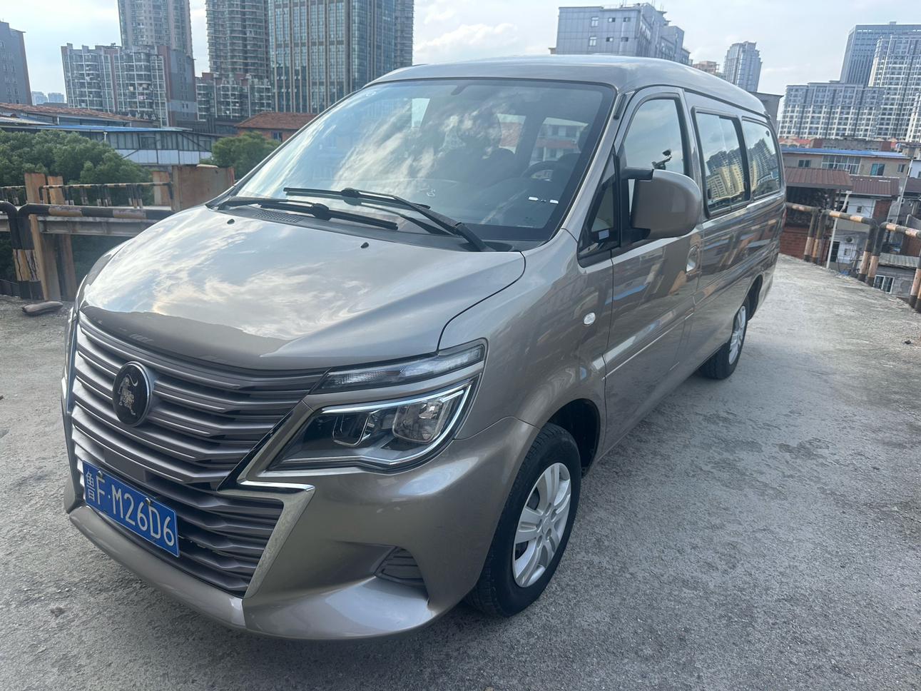 Dongfeng Fengxing Ling Zhi 2023 thumb 8