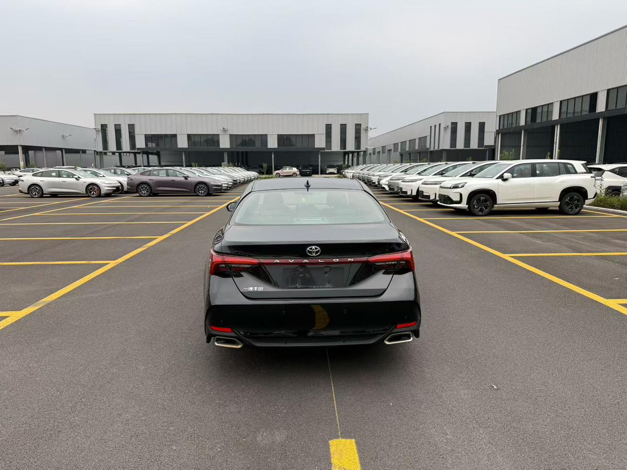 Toyota Avalon 2022 thumb 3