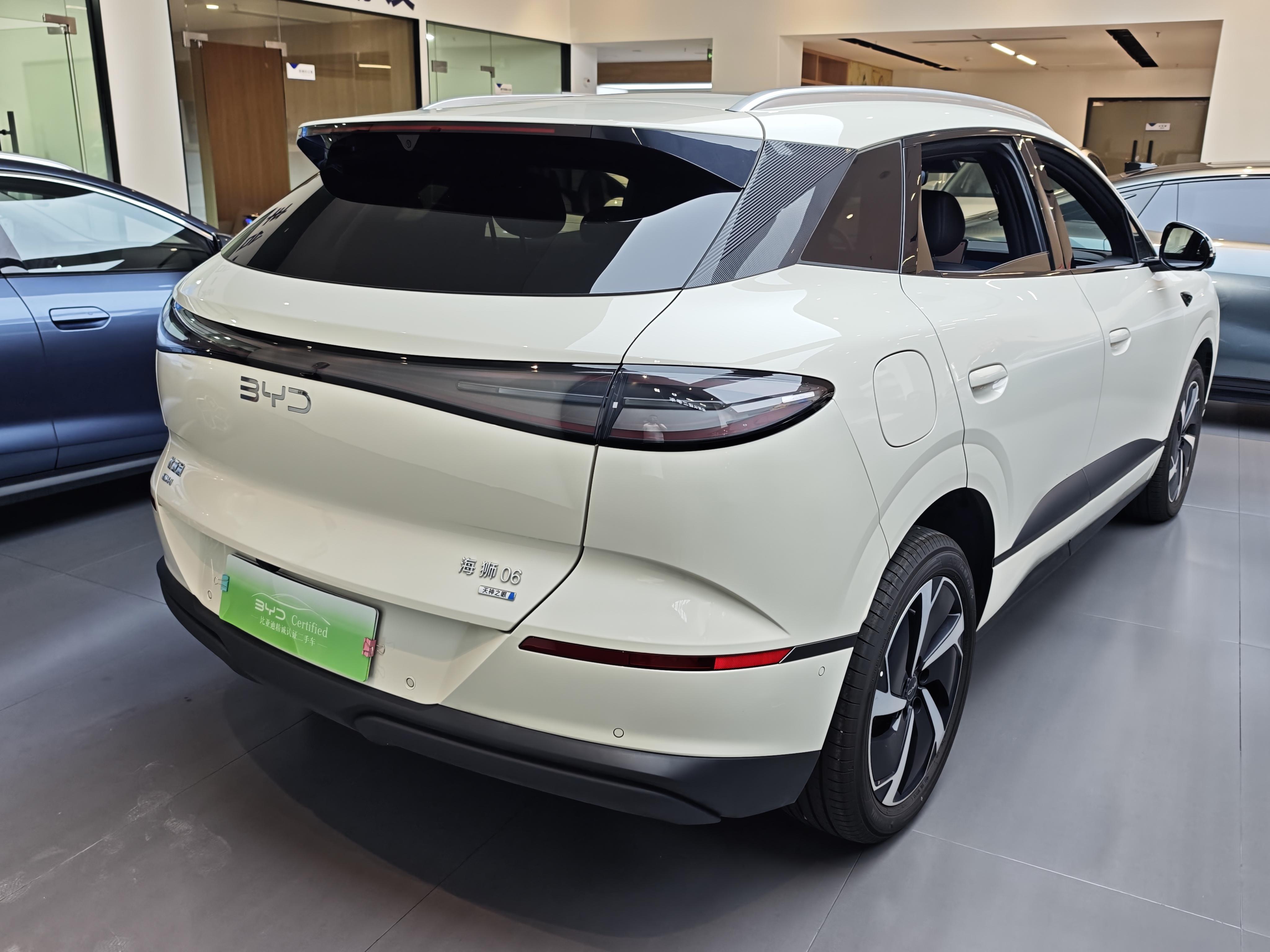 BYD Sea Lion 06DM 2025 thumb 12
