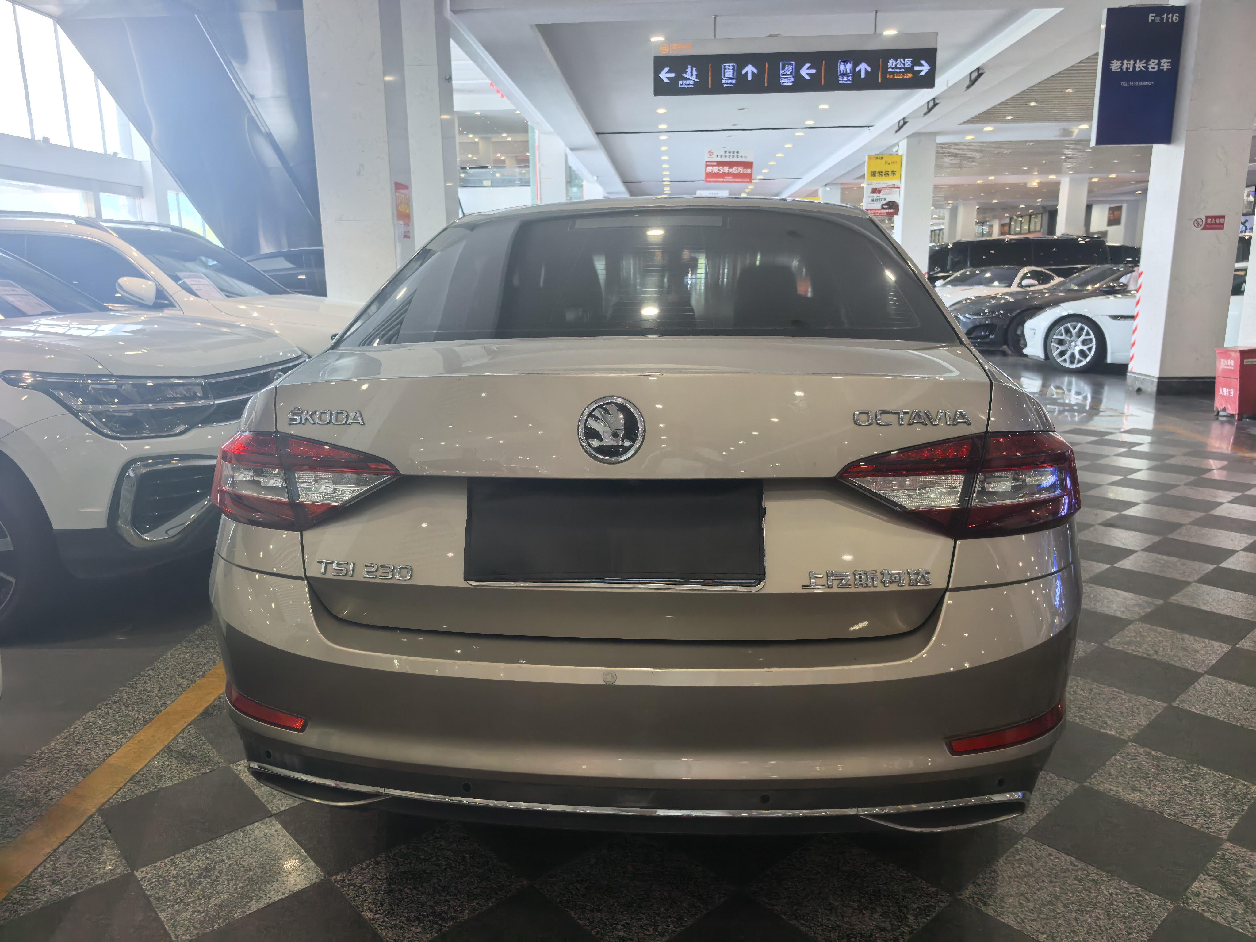 Skoda Ming Rui 2018 thumb 12
