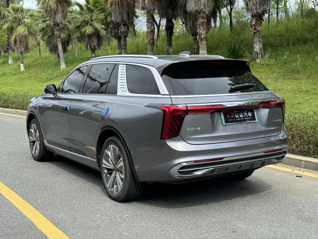 Hongqi E-HS9 2020 thumb 2