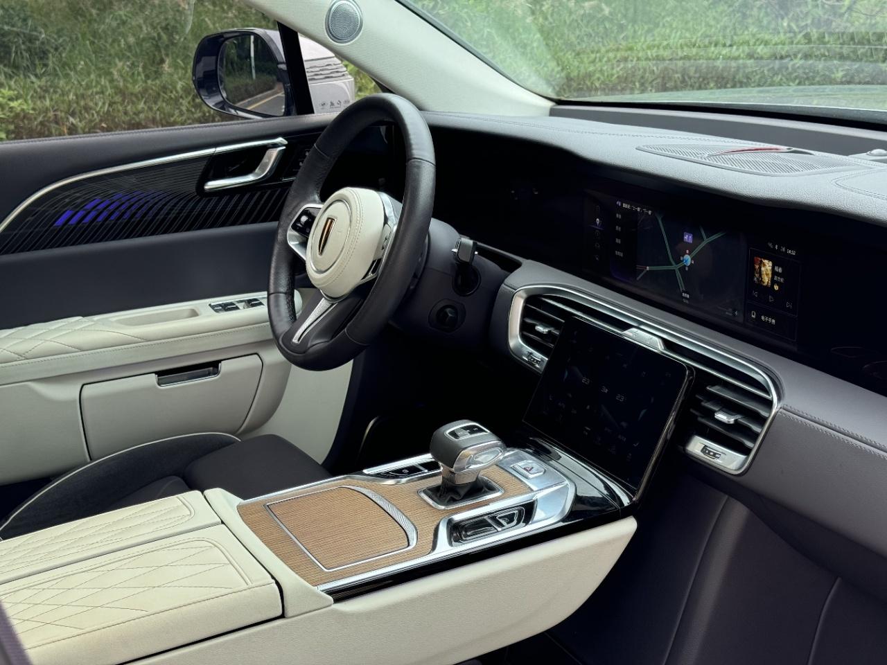 Hongqi E-HS9 2020 thumb 5