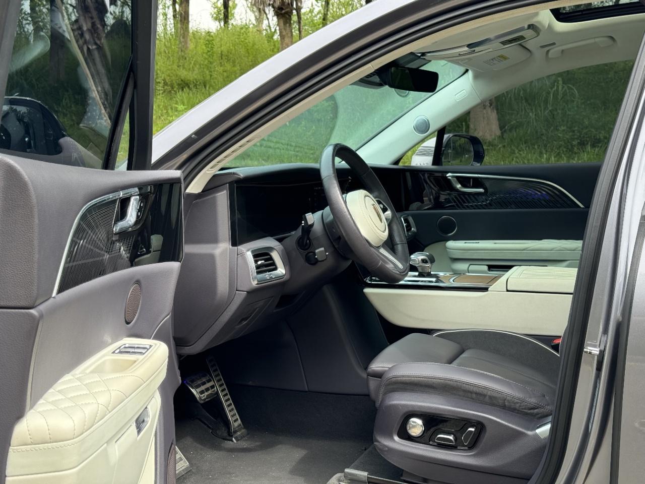 Hongqi E-HS9 2020 thumb 6