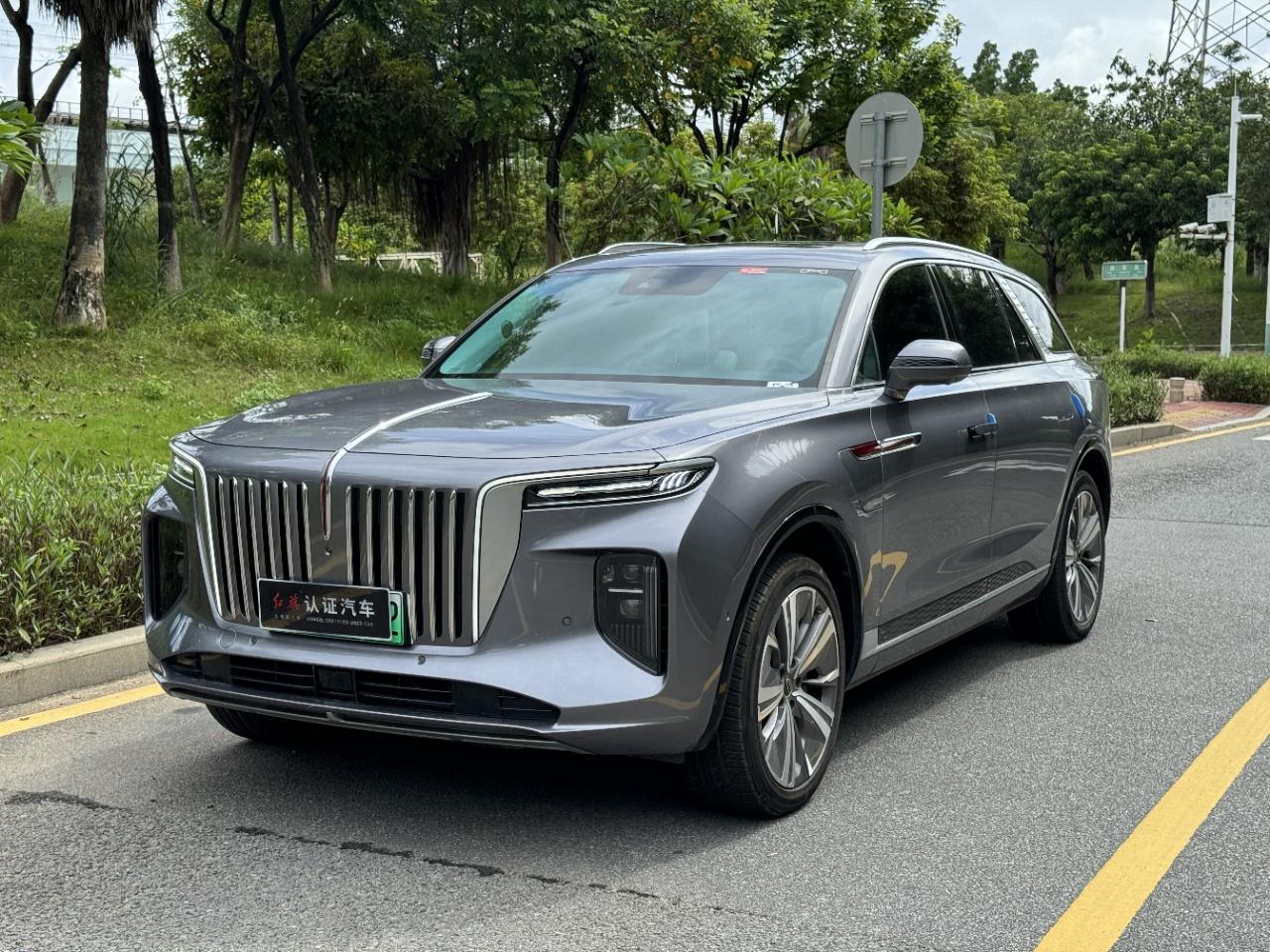 Hongqi E-HS9 2020 thumb 8
