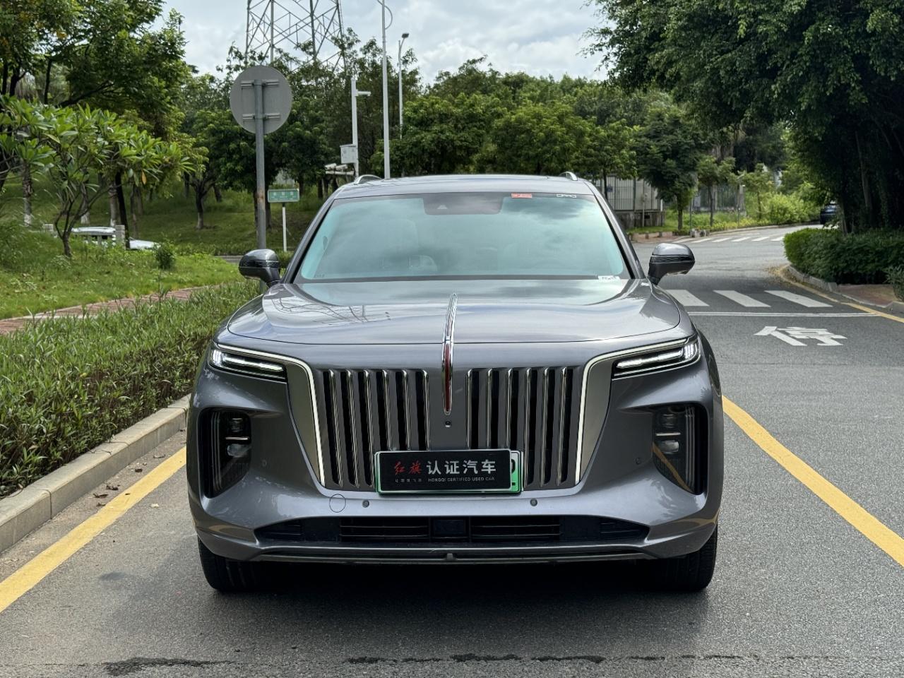 Hongqi E-HS9 2020 thumb 9
