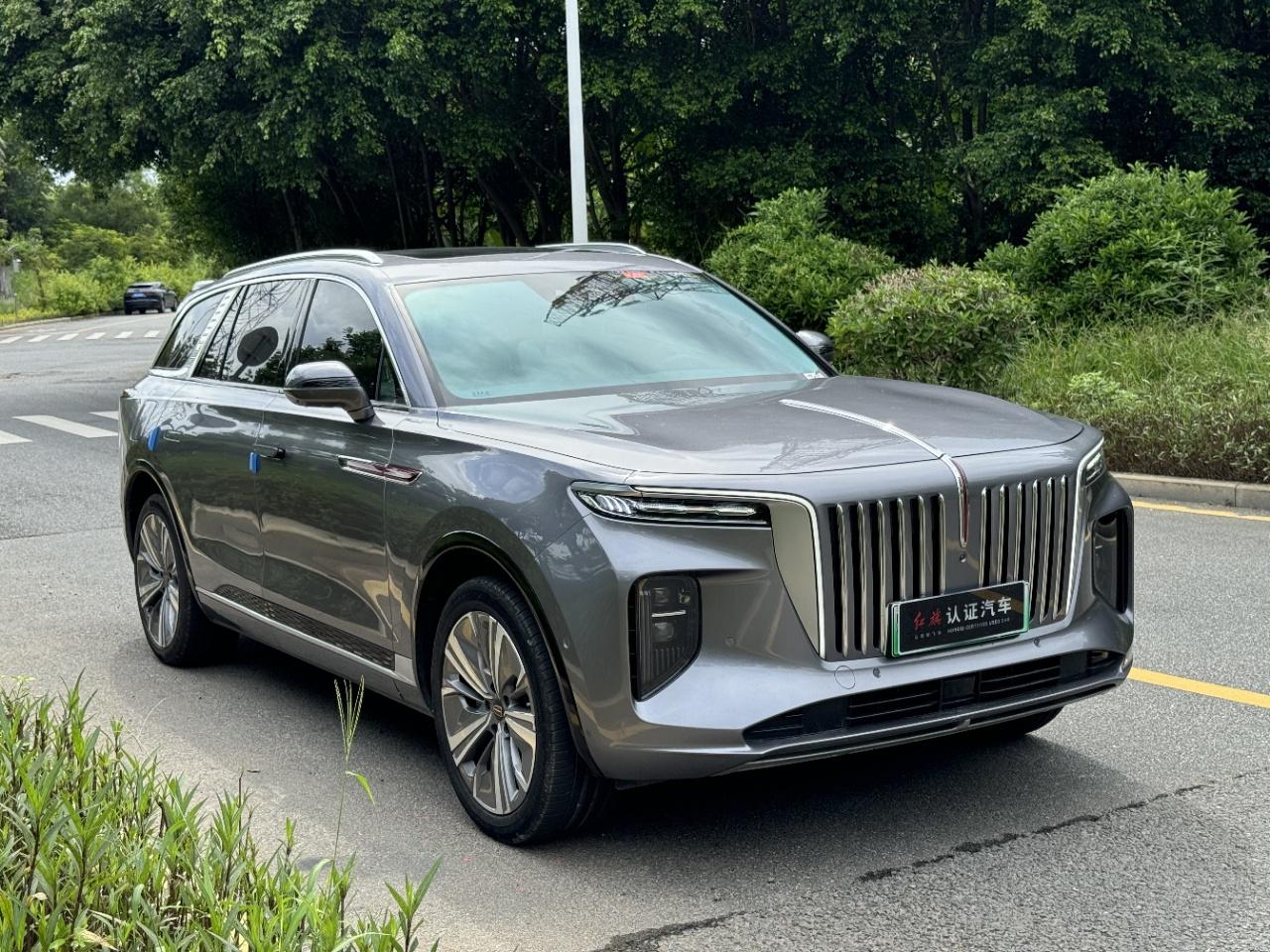 Hongqi E-HS9 2020 thumb 10