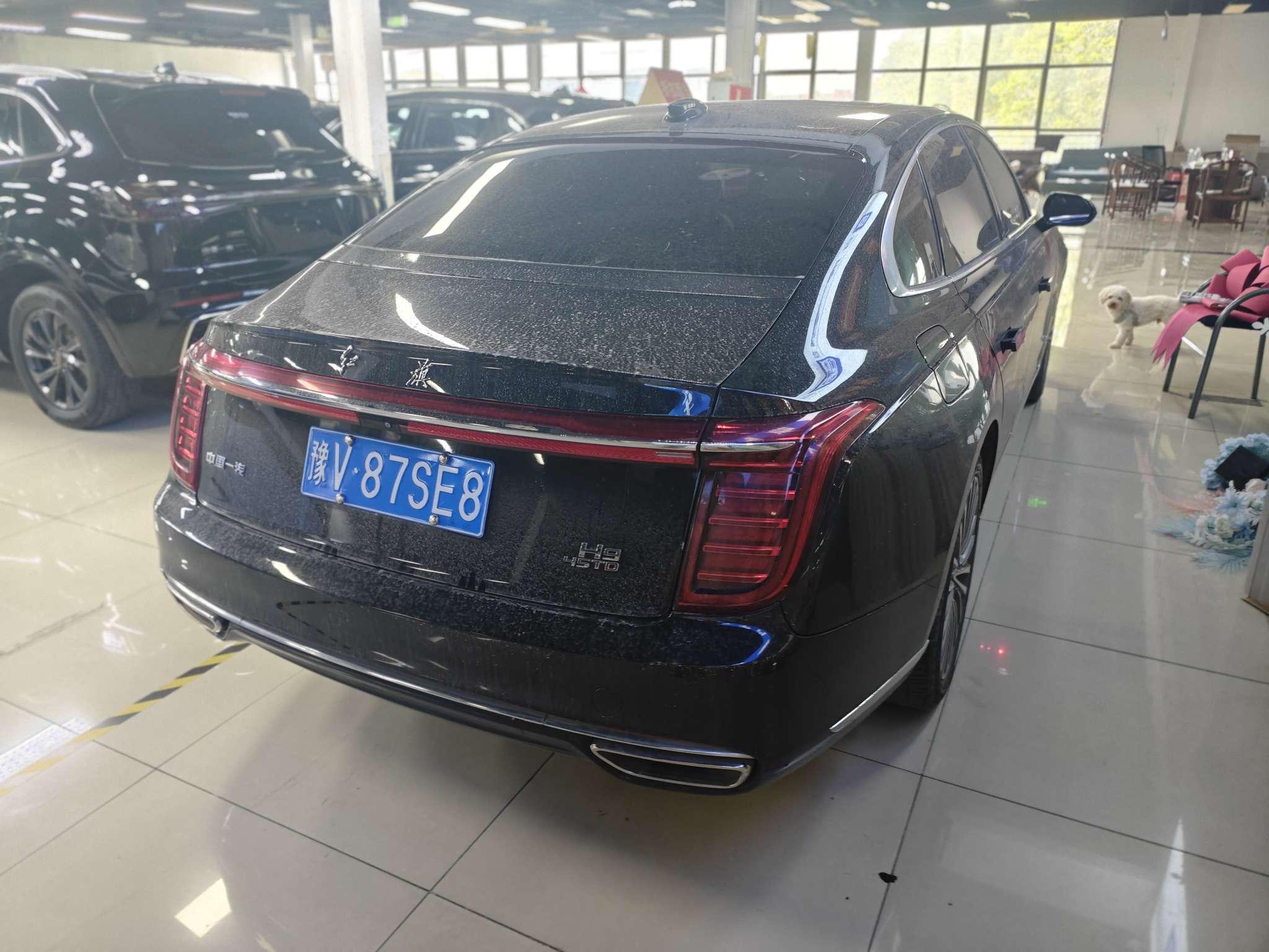 Hongqi H9 2020 thumb 4