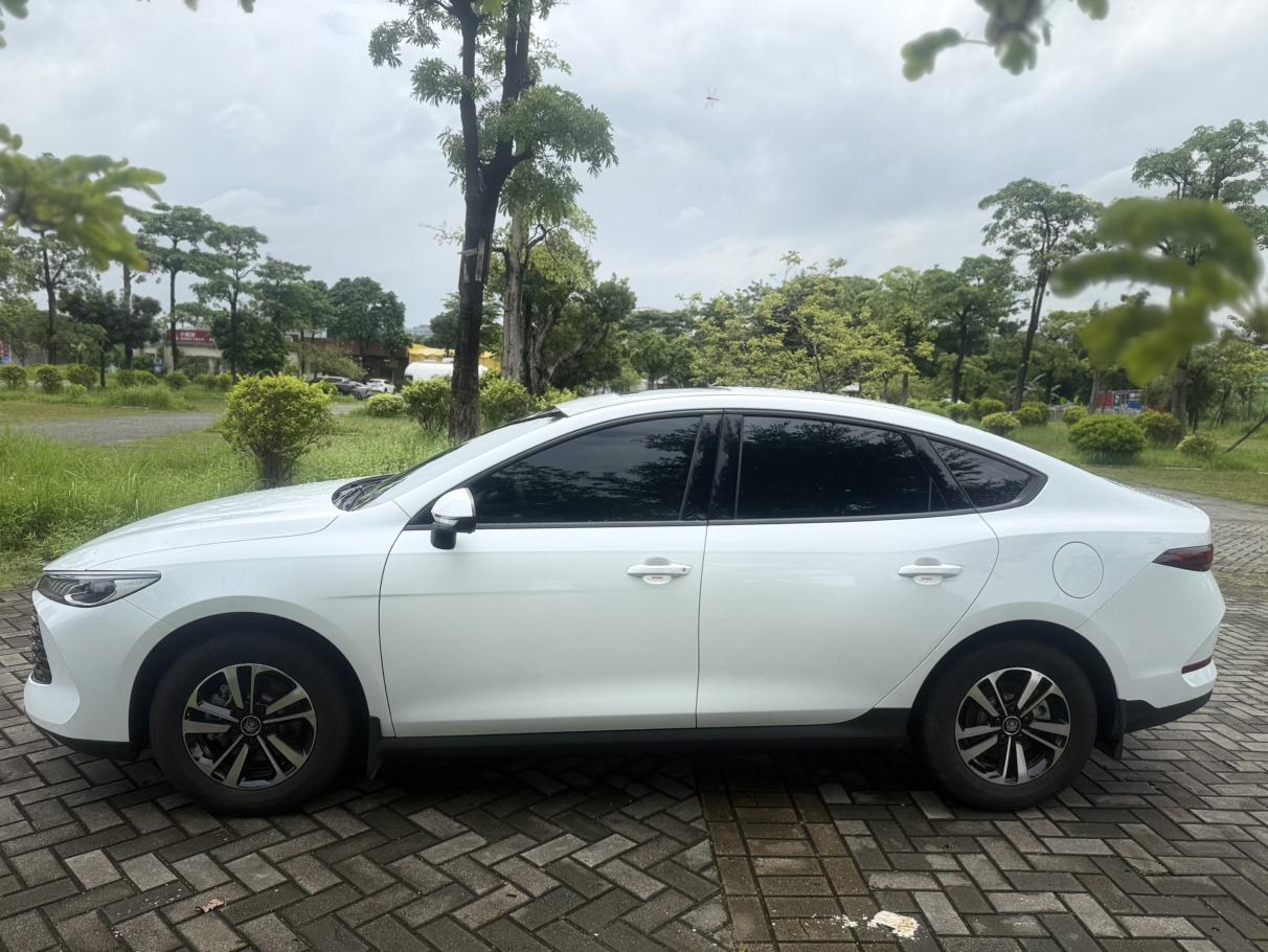 BYD Qin 2026 thumb 2