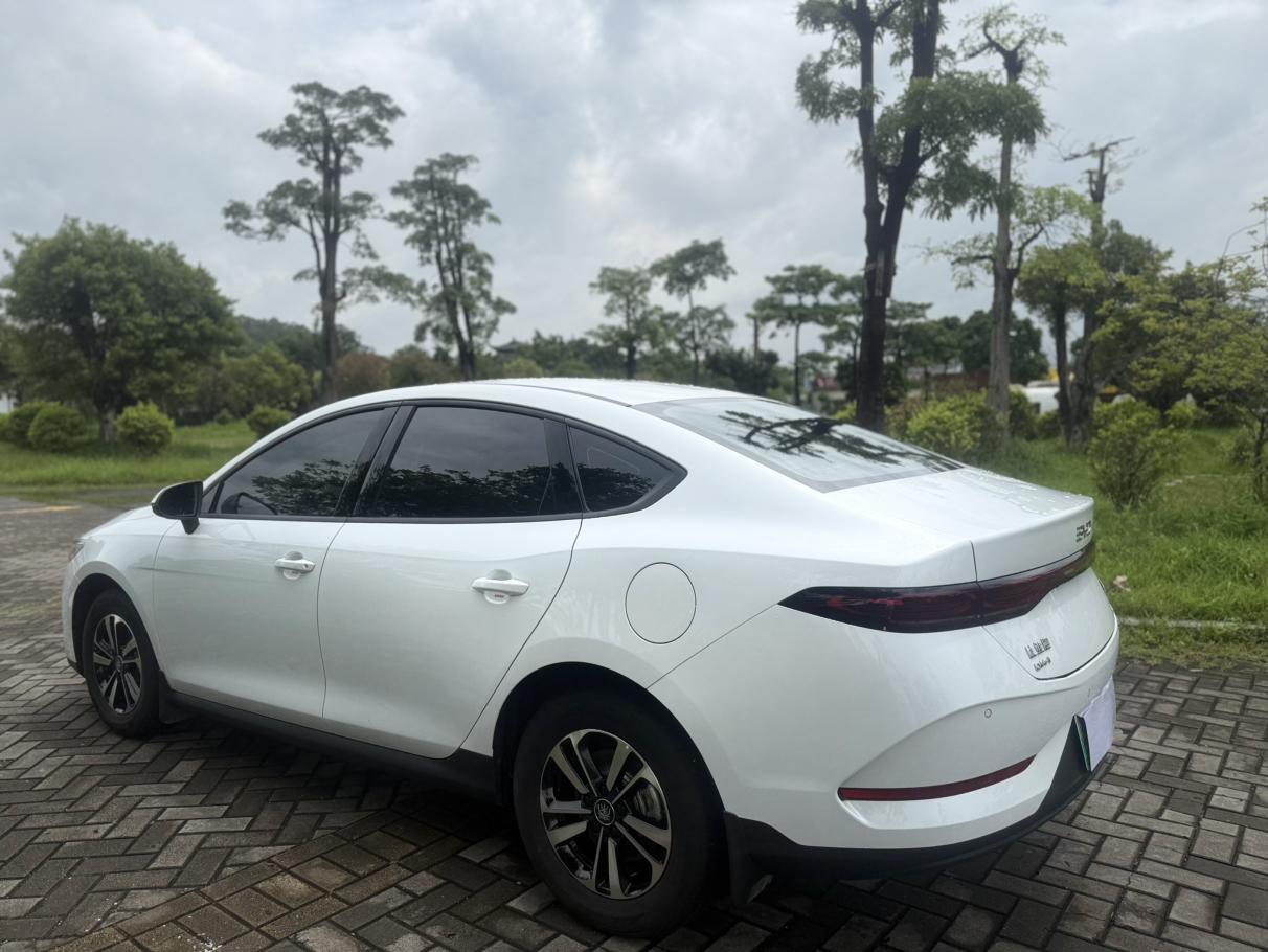 BYD Qin 2026 thumb 3
