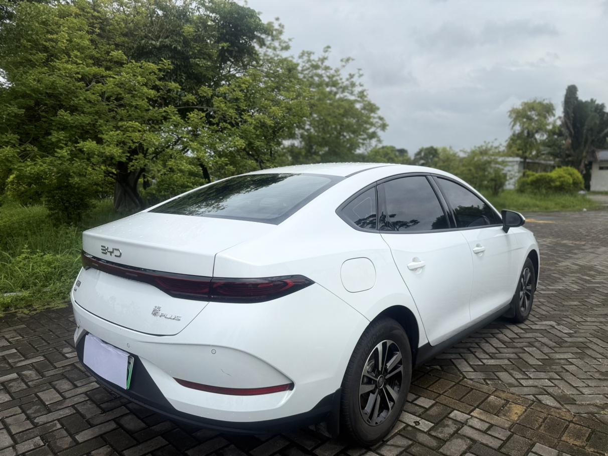 BYD Qin 2026 thumb 5