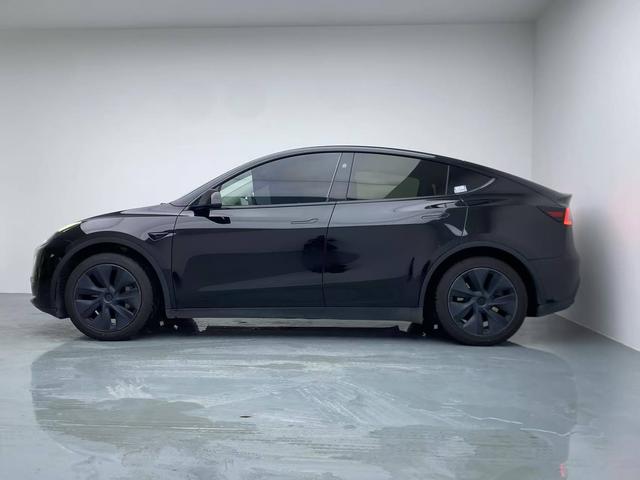 Tesla Model Y 2024 thumb 2