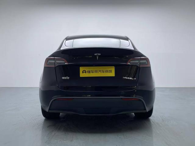 Tesla Model Y 2024 thumb 4