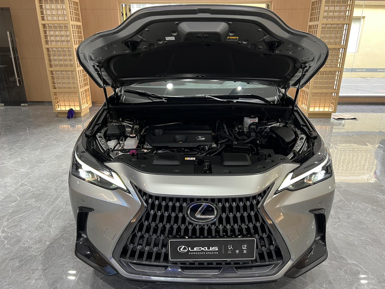 Lexus NX 2023 thumb 8
