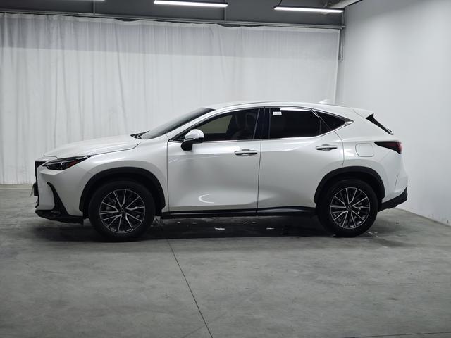 Lexus NX 2024 thumb 2