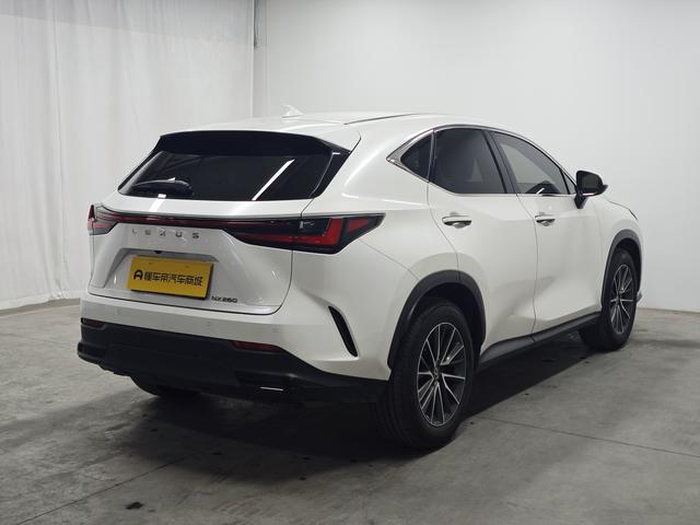 Lexus NX 2024 thumb 5