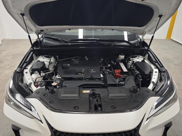 Lexus NX 2024 thumb 8