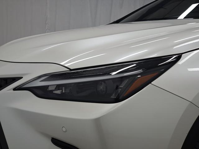 Lexus NX 2024 thumb 10