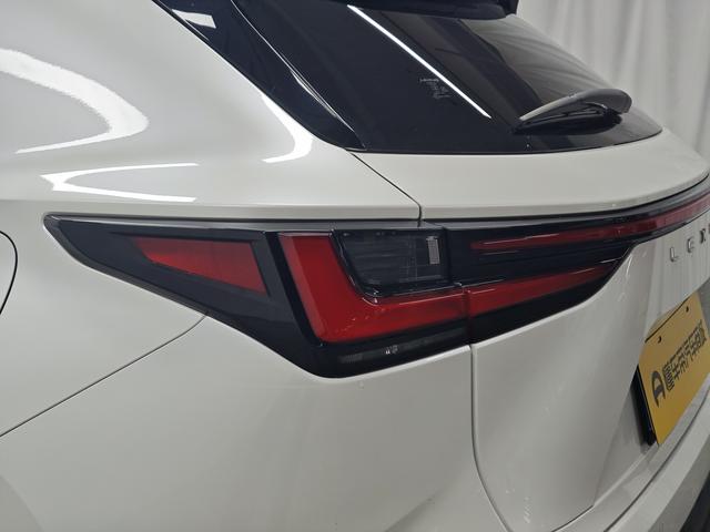 Lexus NX 2024 thumb 11