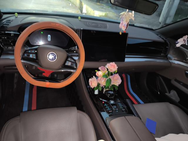 BYD Han 2020 thumb 3