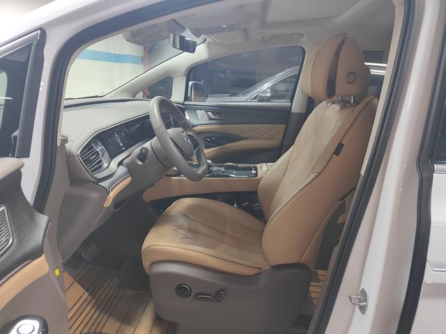 Denza D9 EV 2022 thumb 8