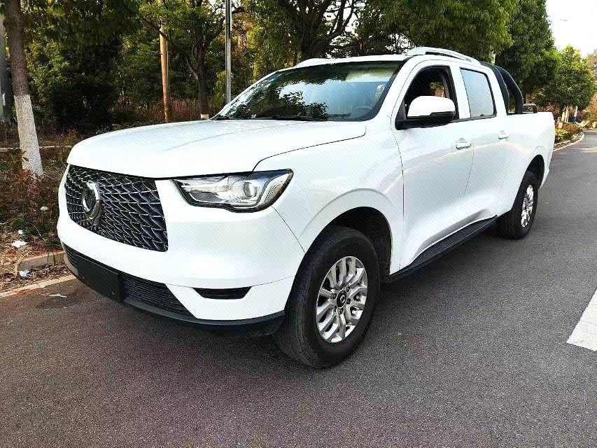 Great Wall Pao 2019 thumb 8