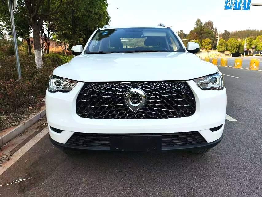 Great Wall Pao 2019 thumb 9