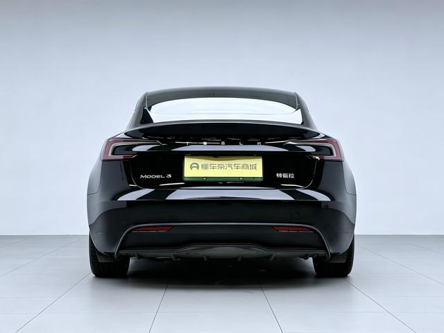 Tesla Model 3 2023 thumb 4