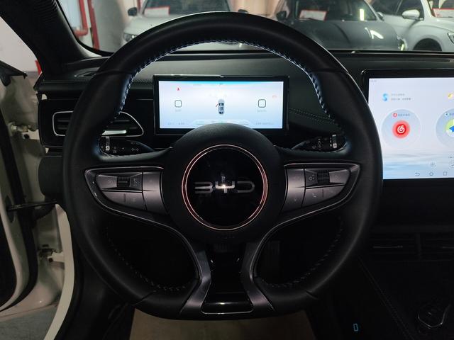 BYD Seal 06DM 2024 thumb 8