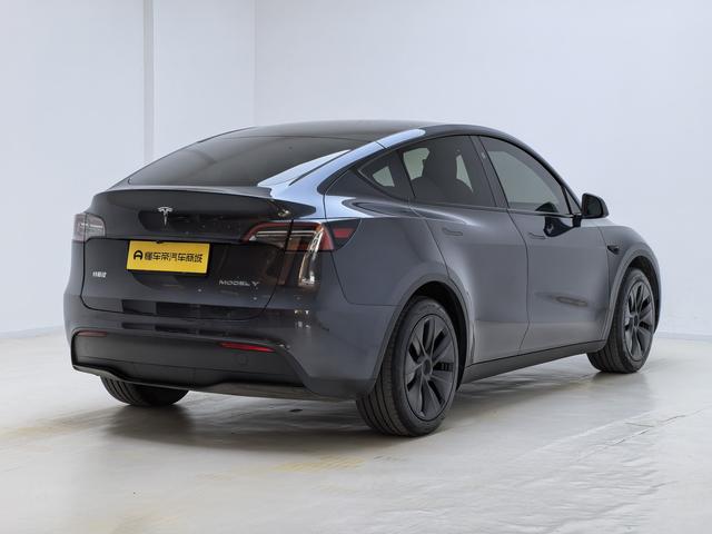 Tesla Model Y 2024 thumb 5
