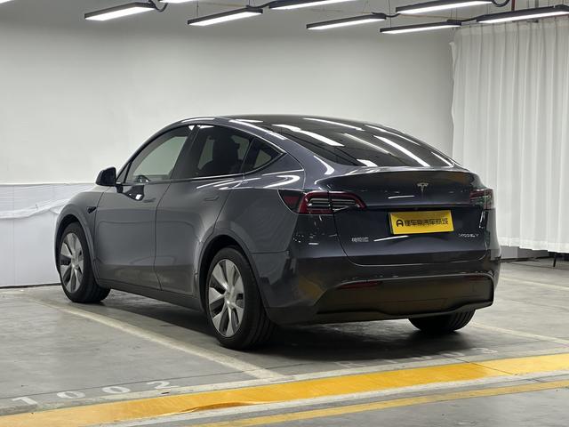 Tesla Model Y 2021 thumb 3