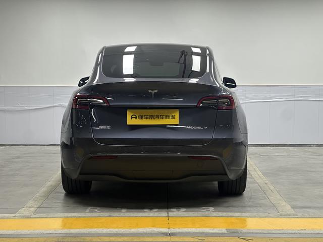 Tesla Model Y 2021 thumb 4