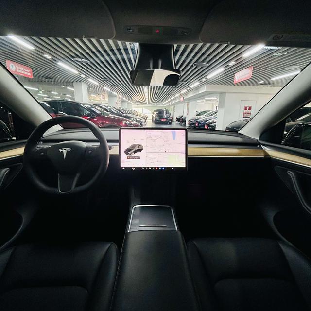 Tesla Model Y 2021 thumb 6