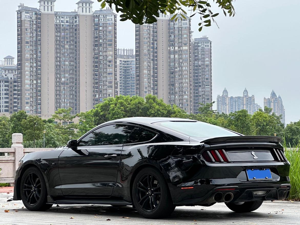 Ford Mustang Mach-E 2017 thumb 2