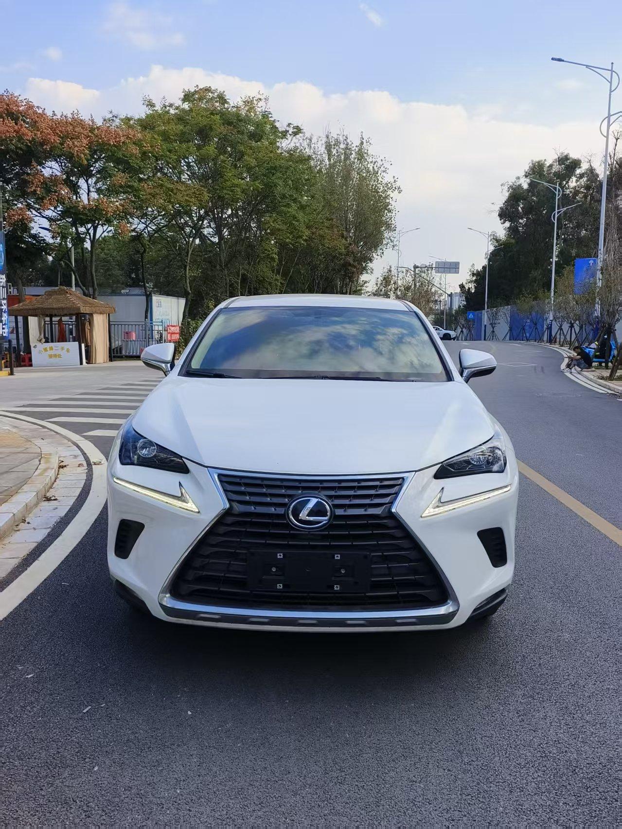 Lexus NX 2020 thumb 9
