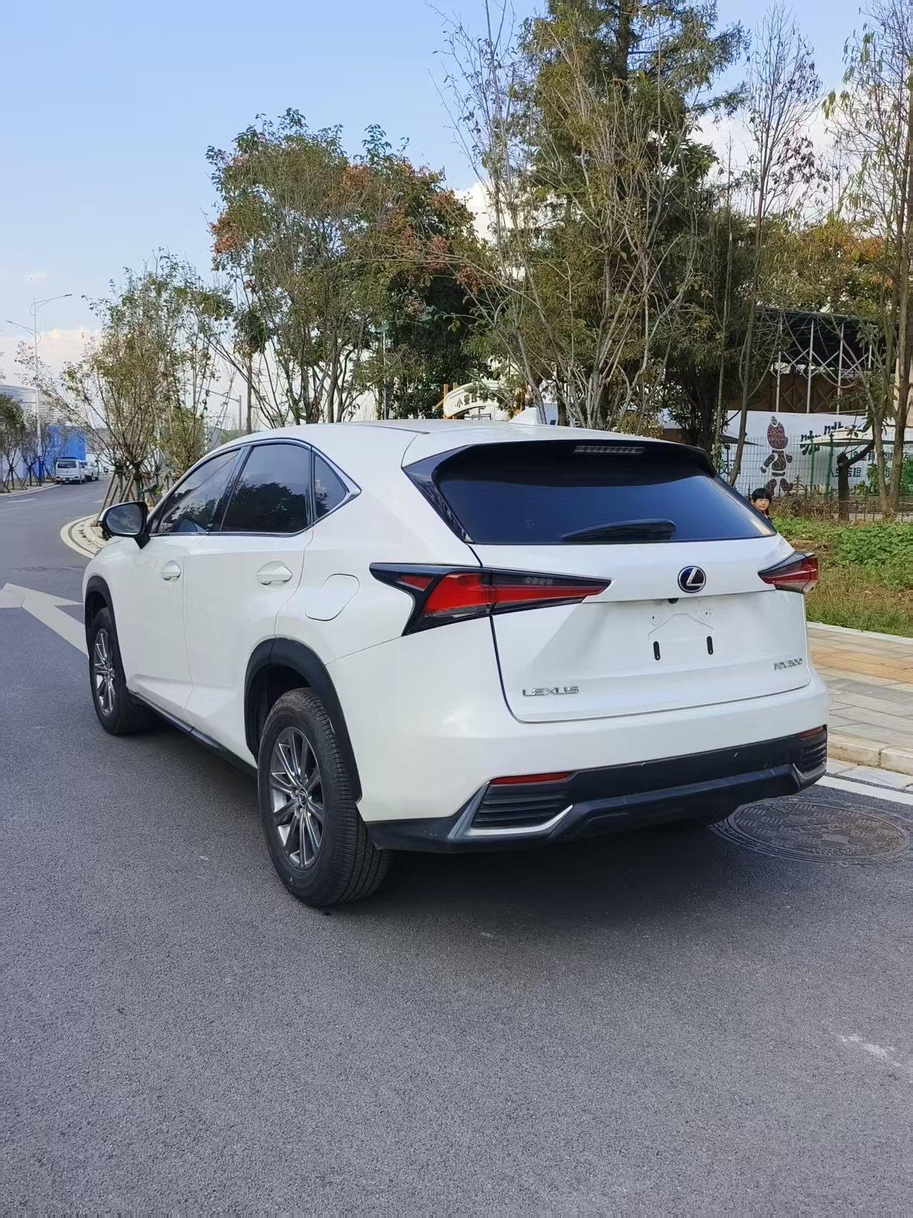 Lexus NX 2020 thumb 11