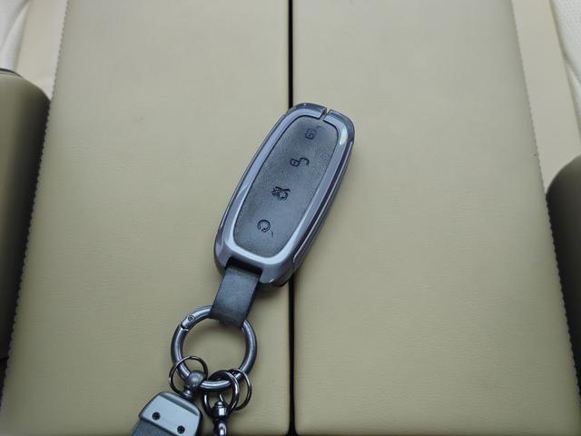 Denza D9 DM 2022 thumb 9