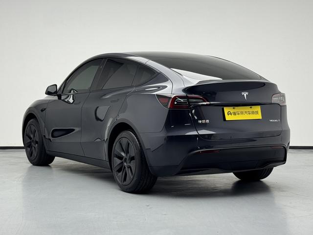 Tesla Model Y 2024 thumb 3