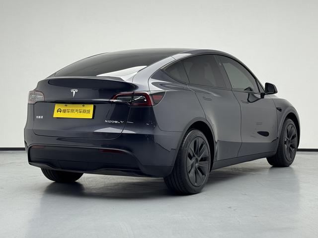 Tesla Model Y 2024 thumb 5