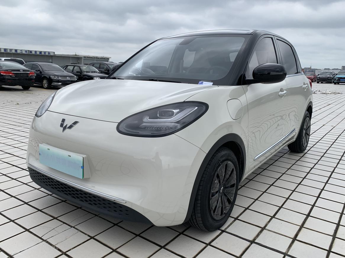 Wuling Bin Guo 2023 thumb 8