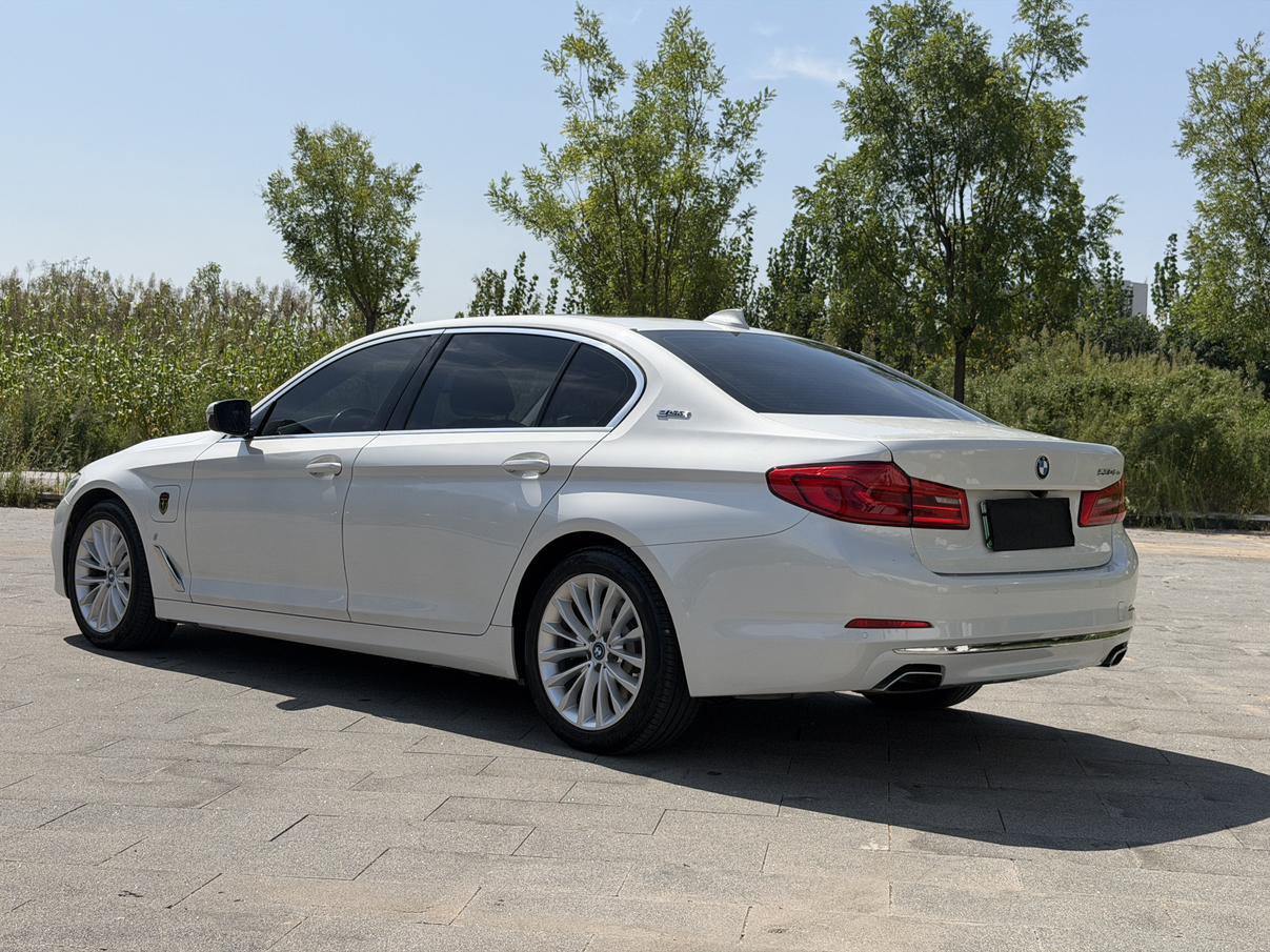 BMW 5 серии 2019 thumb 2